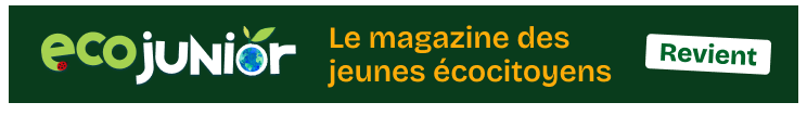 Eco junior revient !